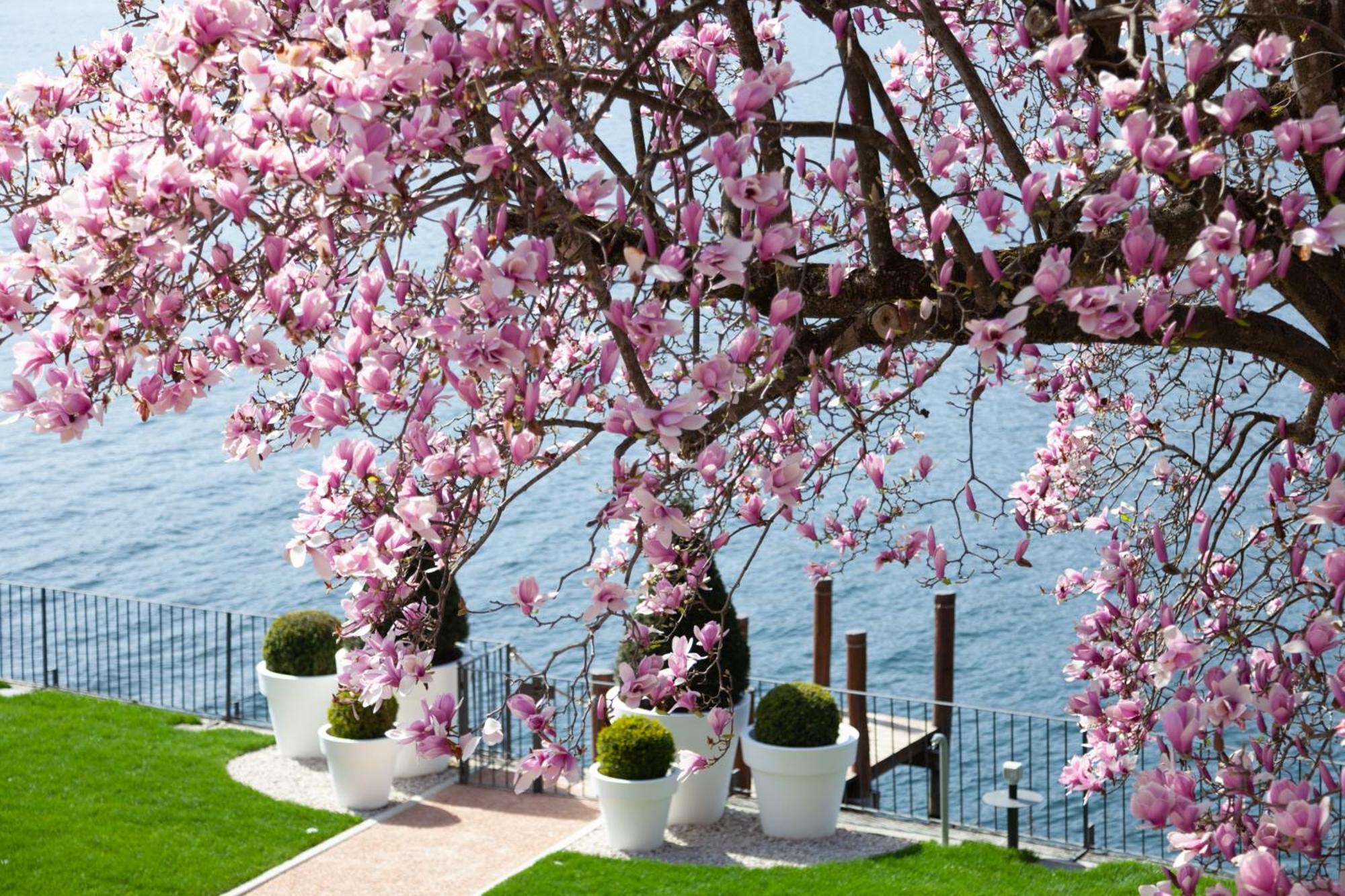 شقة Bifora65 Flats And Garden - Lakeview أورتا سان جوليو المظهر الخارجي الصورة